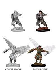 Aasimar Male Fighter (W6)